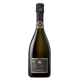 Mosnel Riserve 2007 Riedizone 2022 Pas Dose  (0,75L 12,5%)