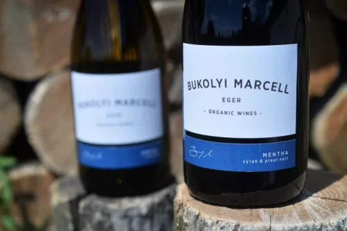 Bukolyi MENTHA Kékfrankos & Syrah 2022 (0,75L 13,5%)