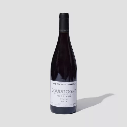 Vincent Bachelet Bourgogne Rouge 2023  (0,75L 13,5%)