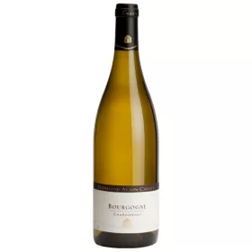 Alain Chavy Bourgogne Blanc 2023 (0,75L 13%)